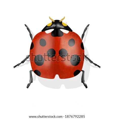 Illustration of a cute red ladybug