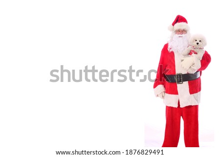Santa Claus holds a Bichon Frise Dog. Santa Holds his Pure Breed Bichon Frise Dog for a Photo. Isolated on white. Room for text. Merry Christmas. 