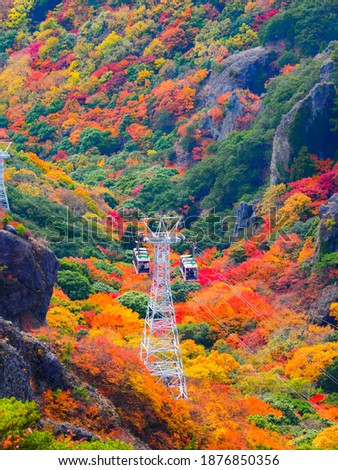 Autumn leaves and ropeway of Kankakei in Shodoshima Island, Kagawa Prefecture, Shikoku, Japan Royalty-Free Stock Photo #1876850356