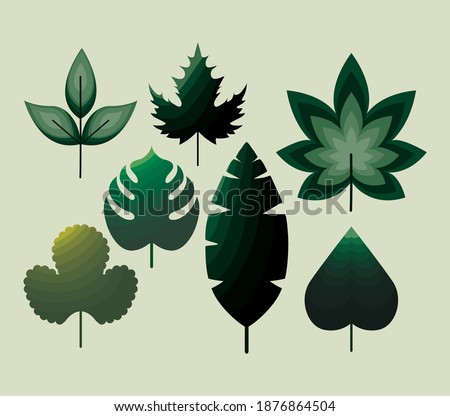 bundle of leaves icons with green color vector illustration design