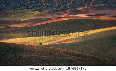 Picturesque Sunset on Rolling Hills at Altai Krai, West Siberia, Russia. Calm Tranquil Atmosphere, Layered Slopes in Shadows and Light. Striped Undulating Unreal Abstract Steppe Terrain. Perfect Image