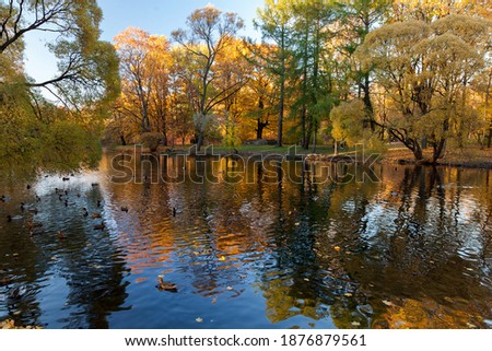 Autumn park with yellow trees lake landscape