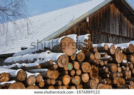 A closeup of wooden snow-covered logs stacked outside in front of a village house