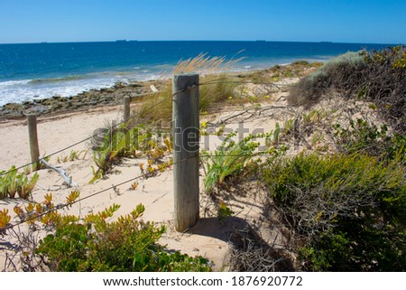 Scenic views from the cycle way of the established coastal vegetation growing along the dunes on Ocean Beach, Bunbury, Western Australia on a late spring afternoon helps to stop coastal sand erosion.