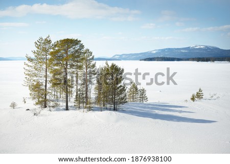 Young pine trees and a frozen lake after a blizzard on a clear day. Mountain peaks in the background. Idyllic winter landscape. Ecology, environment, climate change. Kola Peninsula, Karelia, Russia