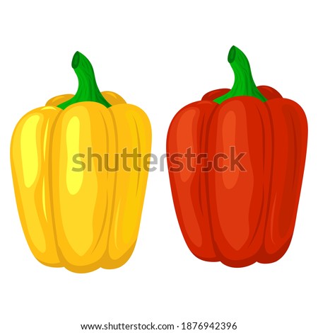two peppers green and red, vector illustration
