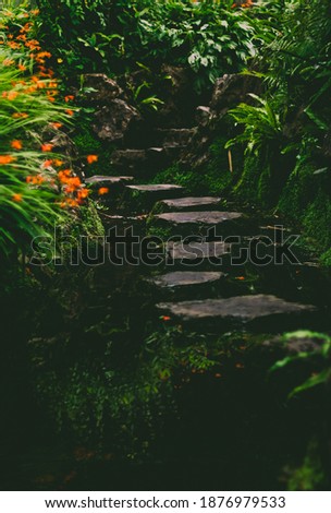 Steps in a garden leading through a pond