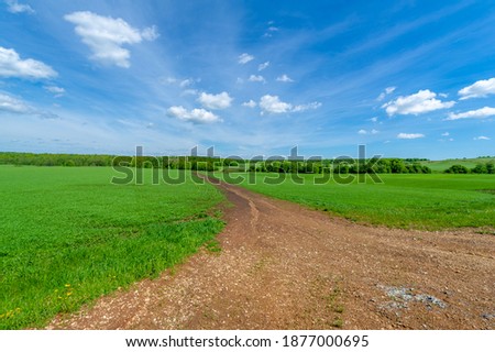 Spring photography, old asphalt road cracked by old age. It has a brown tint from the sun, wind and frost. crops grow along the edge of the road. Landscape charm calls for travel