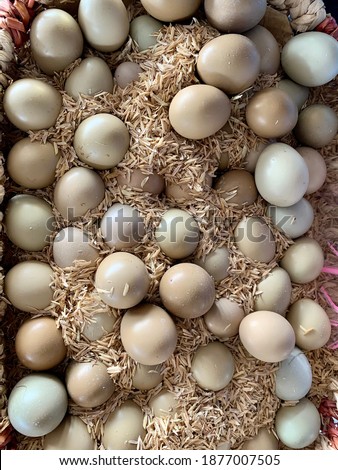 Pictures of pheasant eggs on display for sale
