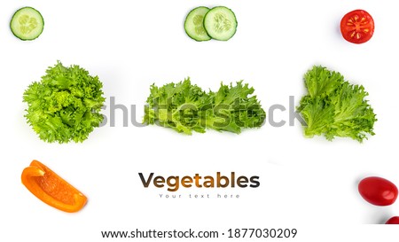 Vegetables isolated on white background. Long header banner format. Panorama website header banner. High quality photo