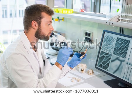 Archaeologist working in natural research lab. Laboratory assistant cleaning animal bones. Archaeology, zoology, paleontology and science concept. Royalty-Free Stock Photo #1877036011