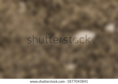 Blurred abstract photo of nature in autumn