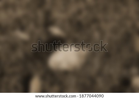 Blurred abstract photo of nature in autumn