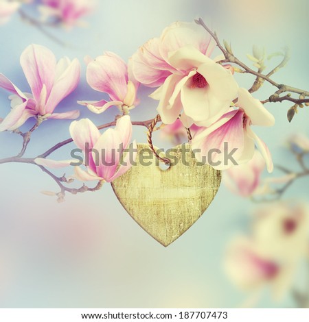 Wooden heart hanging on a branch of magnolia.