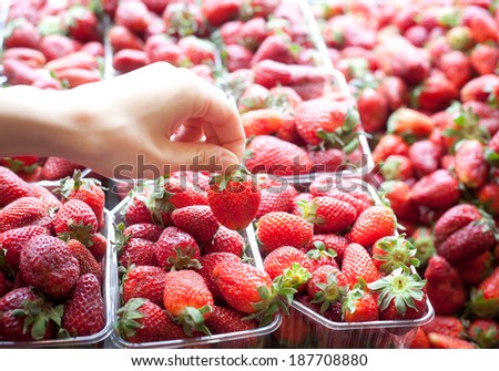 human hand picks strawberries with counter market