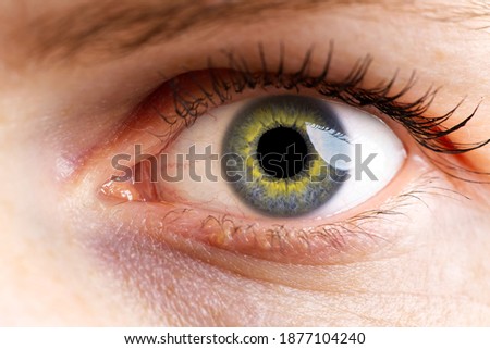 woman macro eye. macro photography of human eye