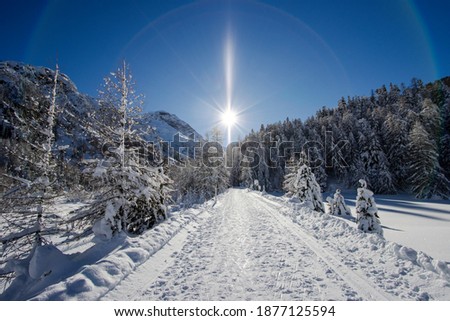 a beautiful day in Pontresina Royalty-Free Stock Photo #1877125594