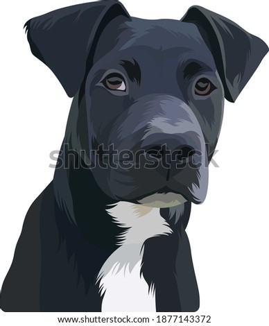 Cute Pet Black Dog, Vector Portrait PET