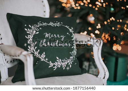 christmas winter ornament decor pillow