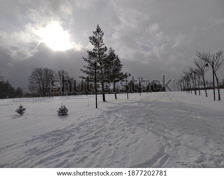 the snow covered ground, the sun behind the clouds ..