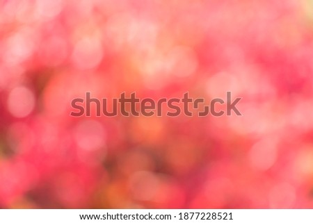 Red or pink bokeh background for decorate in celebration or festival