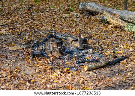 Remains of a burnt campfire in the forest. Charcoal and burnt branches at a picnic site in the park among autumn leaves.