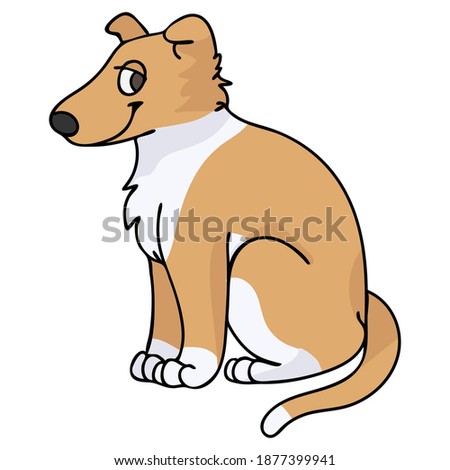 Cute cartoon Papillon sitting puppy vector clipart. Pedigree kennel doggie breed for kennel club. Purebred domestic dog training for pet parlor illustration mascot. Isolated canine breed. 