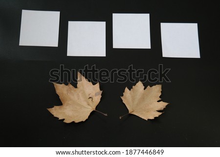 White note papers and dried tree leaves. Black background 