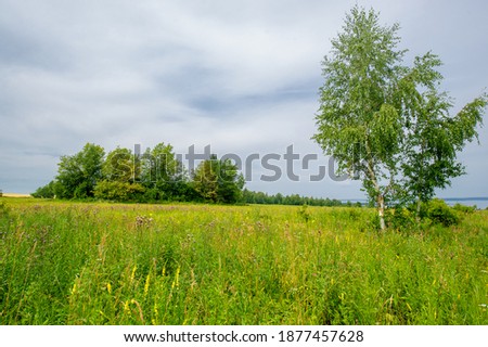 Summer landscape photography. European part of the earth. fields, meadows, ravines covered with green vegetation. Beautiful blue sky with white fluffy clouds.