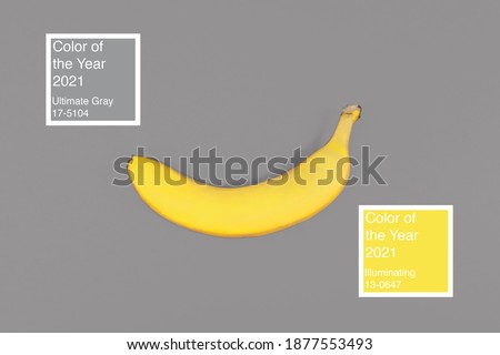 Illuminating yellow banana on Ultimate Gray background