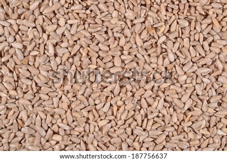 Cleared sunflower seeds as background texture