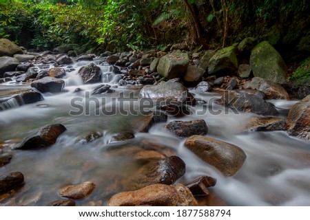 River, Waterfall in the jungle with early morning, stream flowing among stones covered with plants and leaves, Water streams down moss covered rocks in malaysia
