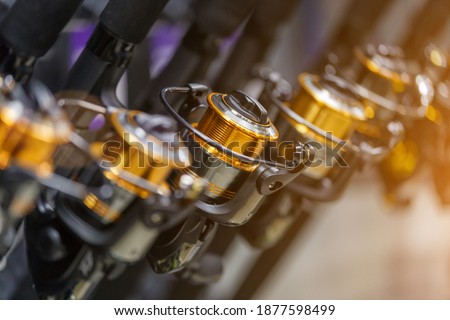 fishing rods with coils of different sizes on the counter in the fishing shop Royalty-Free Stock Photo #1877598499