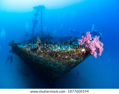Wreck diving in Mauritius , at Gunners Island divespot Royalty-Free Stock Photo #1877600194