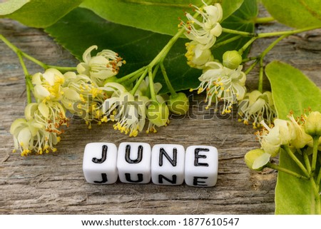 June month concept. Linden flowers laid out on a table with inscription text