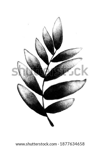 Olive branches sketch in black and white. Hand drawn illustration isolated on white background. Olive tree.