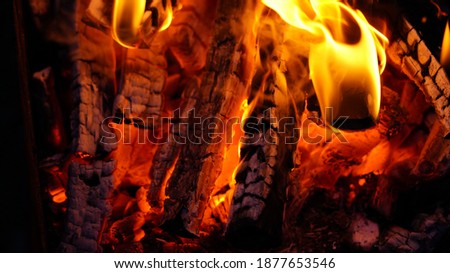Bonfire close-up Orange flame of fire cooking at the stake. Arson or natural disaster.