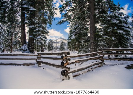 A winter scene with fresh snow fallen on a fence in a meadow and forest in a valley of the Sierra Nevada Mountains near Lake Tahoe, California.