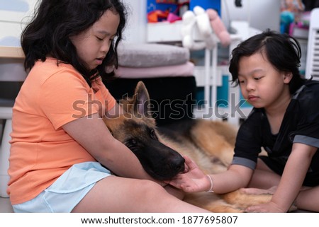 Dog lying on lap with love pet with brother and sister