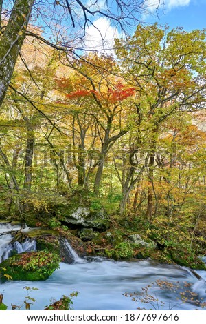 Scenery of Oirase stream in late autumn at Aomori