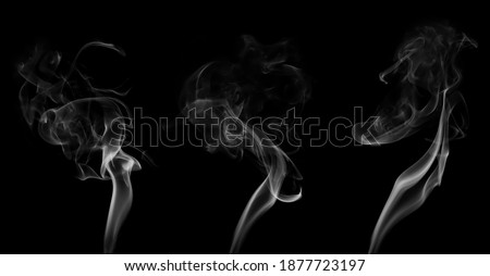 Collection swirling movement of white smoke group, abstract line Isolated on black background Royalty-Free Stock Photo #1877723197