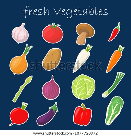 set illustration vector graphic of fresh vegetables.for farm market.salad recipe.food ingredient.illustration in flat style Royalty-Free Stock Photo #1877728972