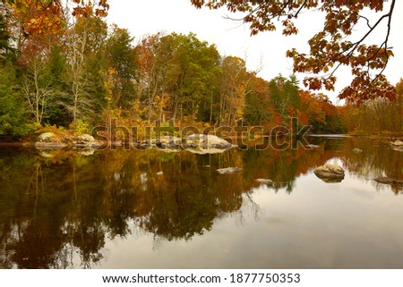 Fall colors along the Farmington River in Nepaug State Forest, in New Hartford, Connecticut.