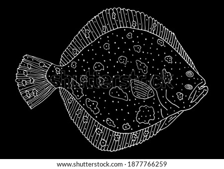 Turbot fish hand drawn. White contour of fish on black background. Design element. Vector illustration. 