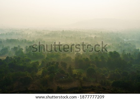 Morning mist over dense forests and hills; peaceful landscape overview of evergreen trees in the valley