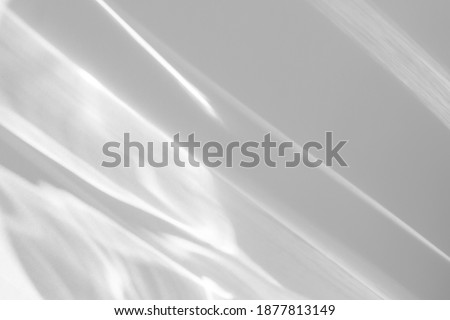 Blurred water texture overlay effect for photo and mockups. Organic drop diagonal shadow and light caustic effect on a white wall. Shadows for natural light effects Royalty-Free Stock Photo #1877813149