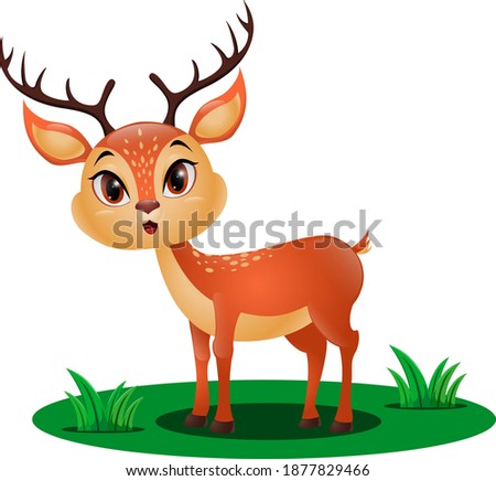 Cute little deer in the grass