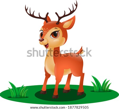 Cute little deer in the grass