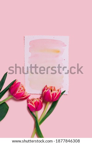 Three beautiful tulips on pink background with colorful paper for your gentle words.