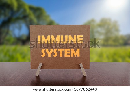 Immune system text on card on the table with sunny green park background. Health concept.